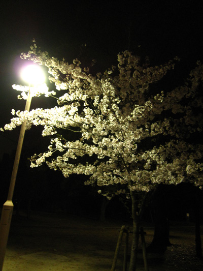 IMG_7882.jpg