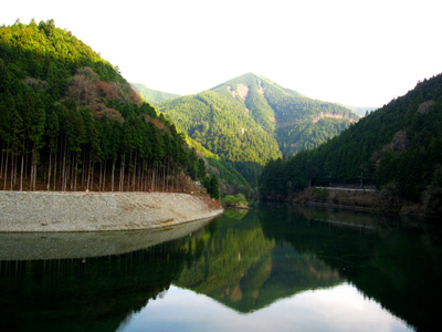 IMG_7973.jpg