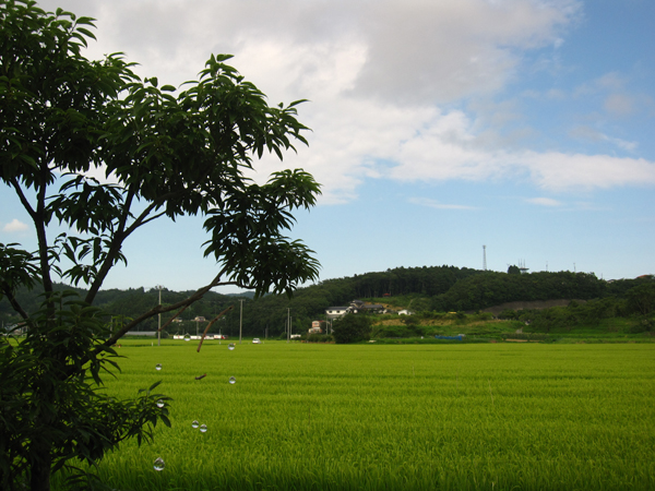 IMG_8489.jpg